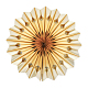 photo-2990698